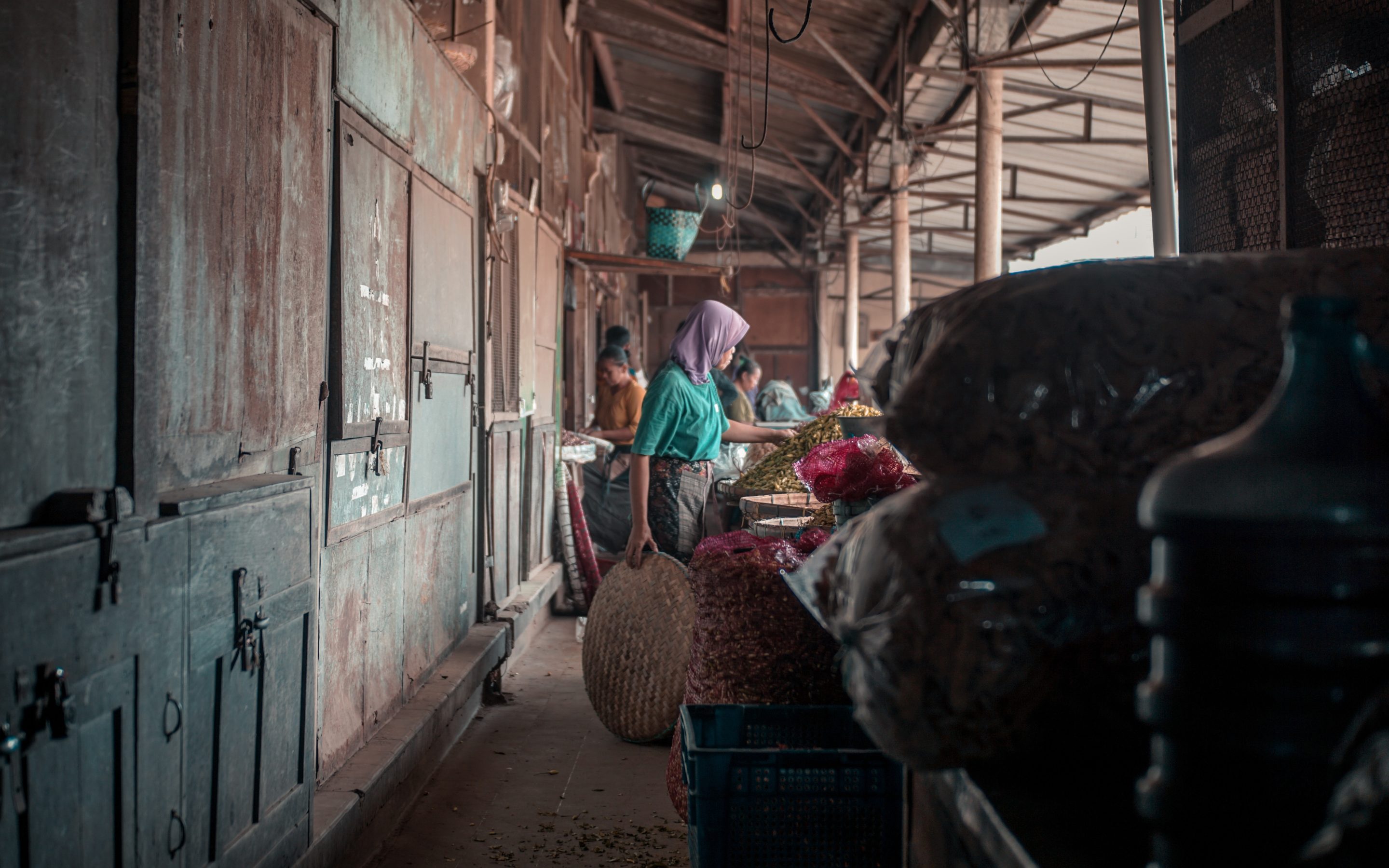 SE Asia Project Page